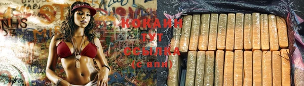 твердый Белоозёрский