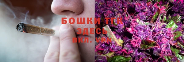 mdpv Инсар