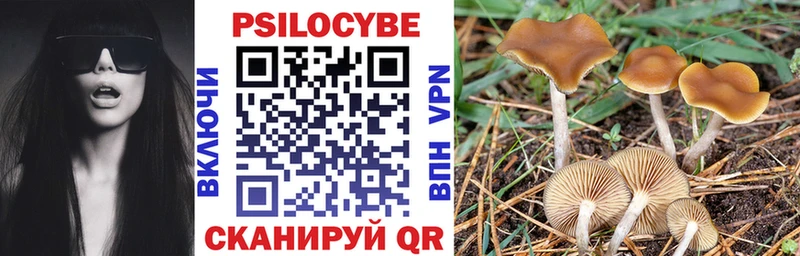 Псилоцибиновые грибы Psilocybine cubensis  MEGA tor  Оха  закладки 